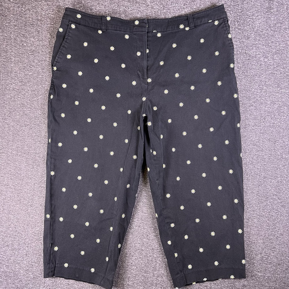 Briggs‎ New York Daisy Embroidered Cropped Pants Womens 20W Black Floral 40x21.5